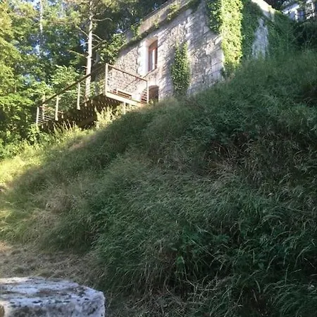 Ecrin De Verdure Centenaire Avec Vue Hyper Centre *